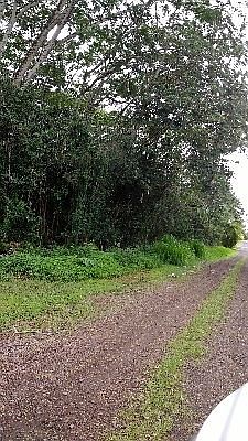 2nd image of 17th Ave