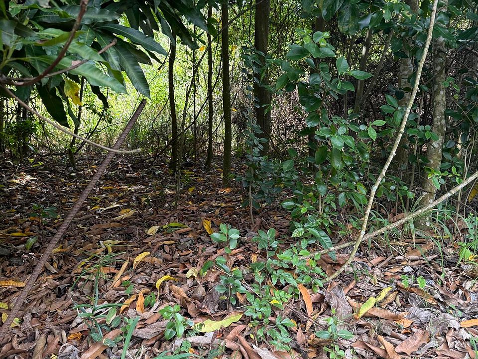 1st image of 23 Orange Grove WE