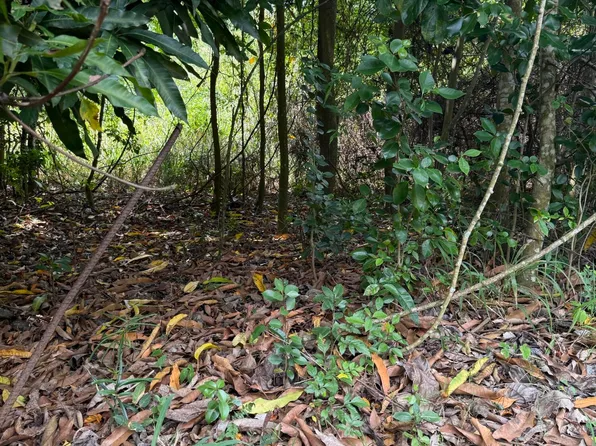 23 Orange Grove WE, St. Croix, VI 00840