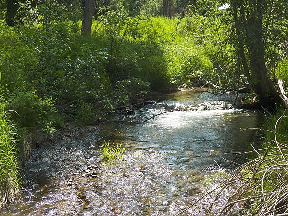 Year-round Lambert Creek