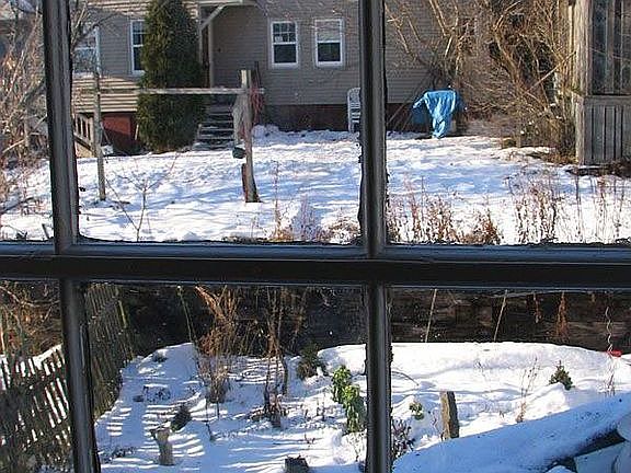 Cute backyard