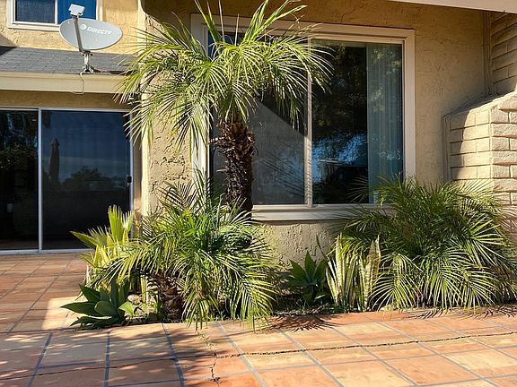 3rd image of 3697 Cactusview Dr