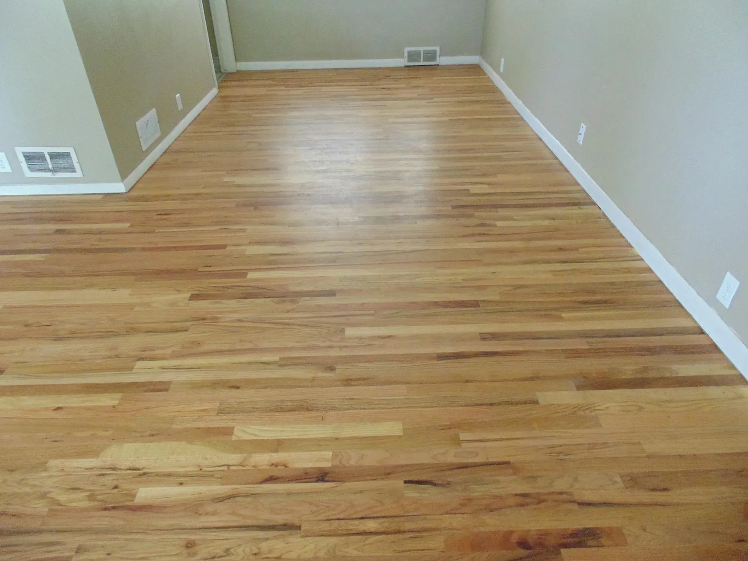 1 bed, 2000 sqft, $695 — Photo 3
