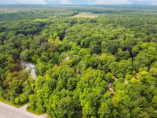 7012 County Road 169, Ramara, ON L0K 2B0