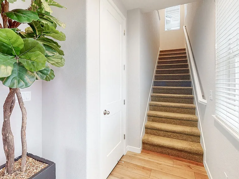 1582 Abundance Way — Photo 12