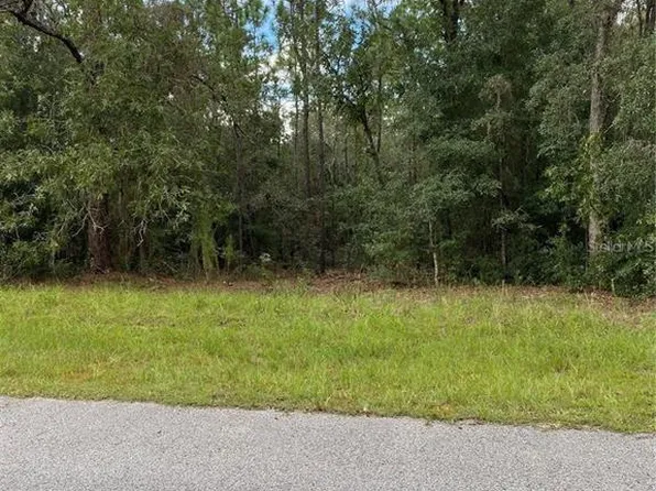 1403 W Mineral Ct #15, Hernando, FL 34442