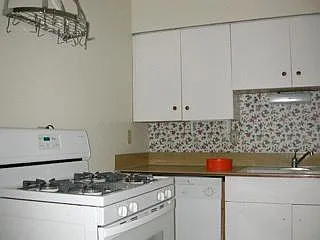 Gas stove