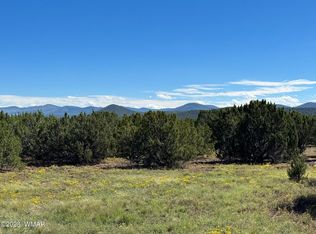 15 County Road 3190, Vernon, AZ 85940