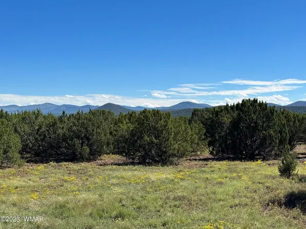 15 County Road 3190, Vernon, AZ 85940