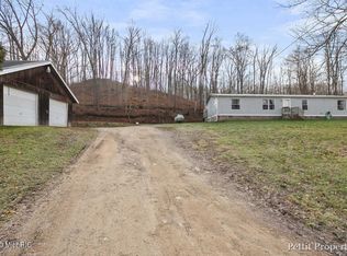 249 Wright St, Ionia, MI 48846