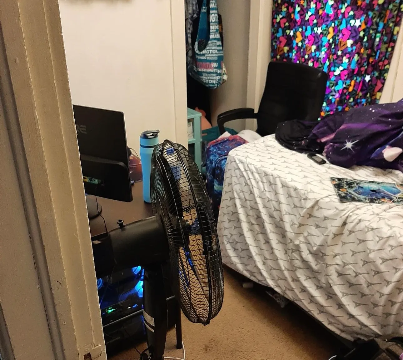 2 bed, $800 — Photo 4