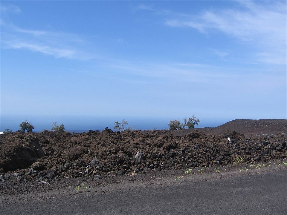 2nd image of Hibiscus Dr Lot 7