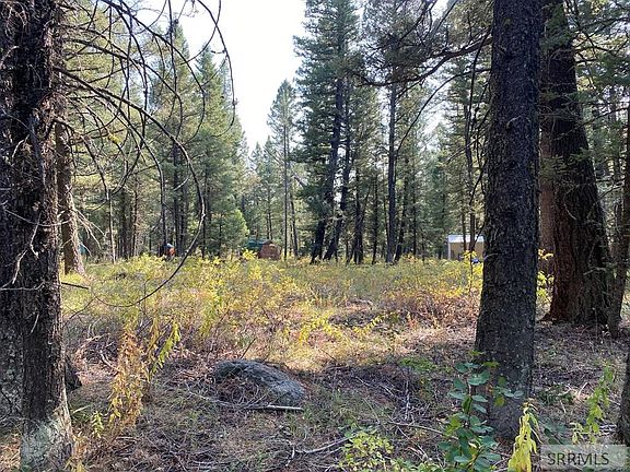 5th image of 4188 Yale Creek Rd #8