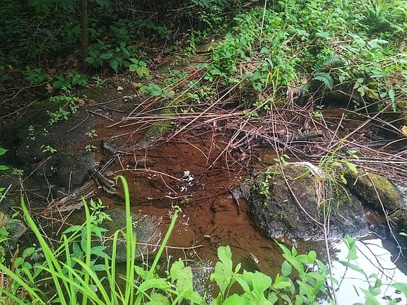 3rd image of 185 Raccoon Ridge Rd