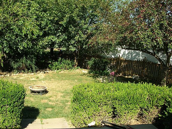 Back yard