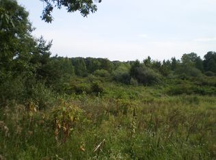 Struthers Rd, Grass Lake, MI 49240