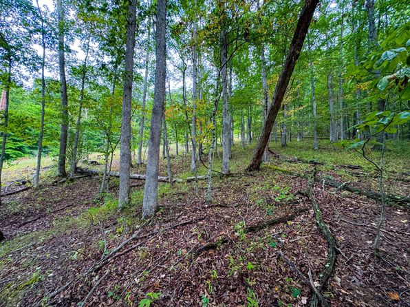 0 Route 2, Burnsville, WV 26335