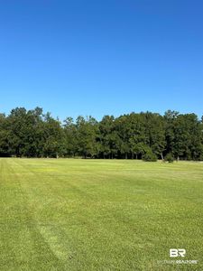 LOT 2B George Younce Rd Lot 2B, Foley, AL, 36535