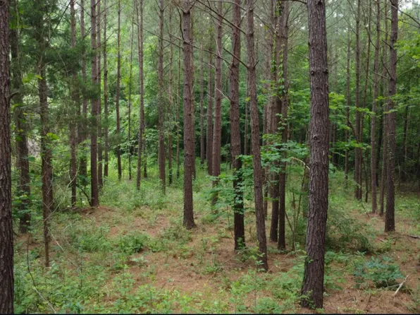 (undisclosed Address), Waverly, AL 36879