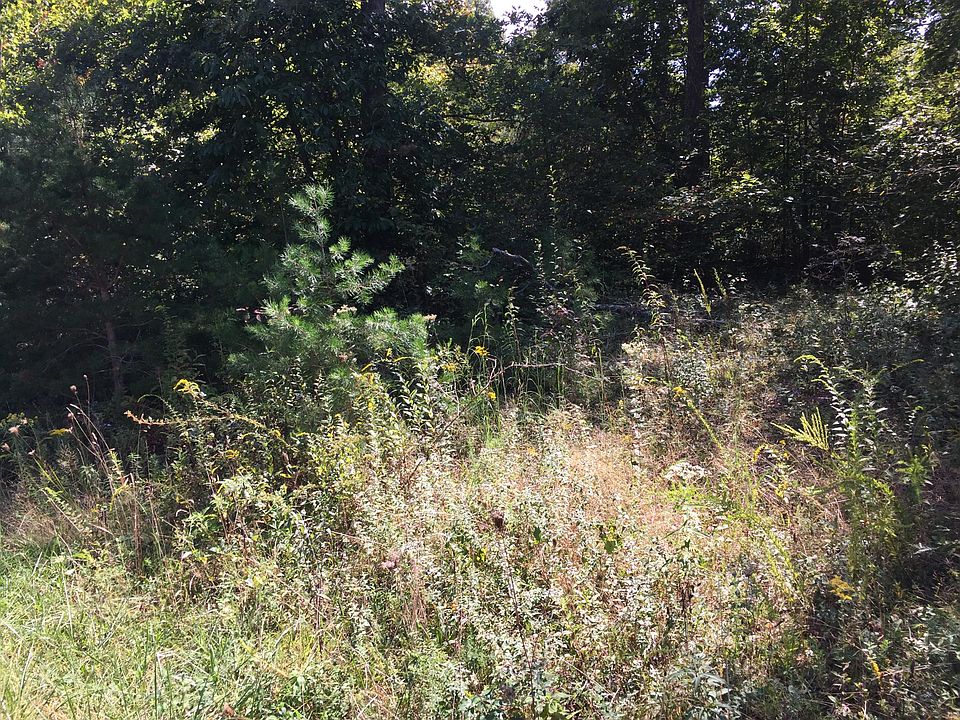 2nd image of Caney Creek Dr