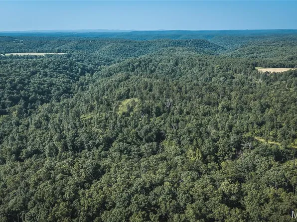 TRACT 5 Private Drive 2336, Norwood, MO 65717