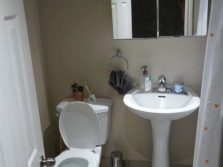 163 Campbell Ave #BASEMENT — Photo 7
