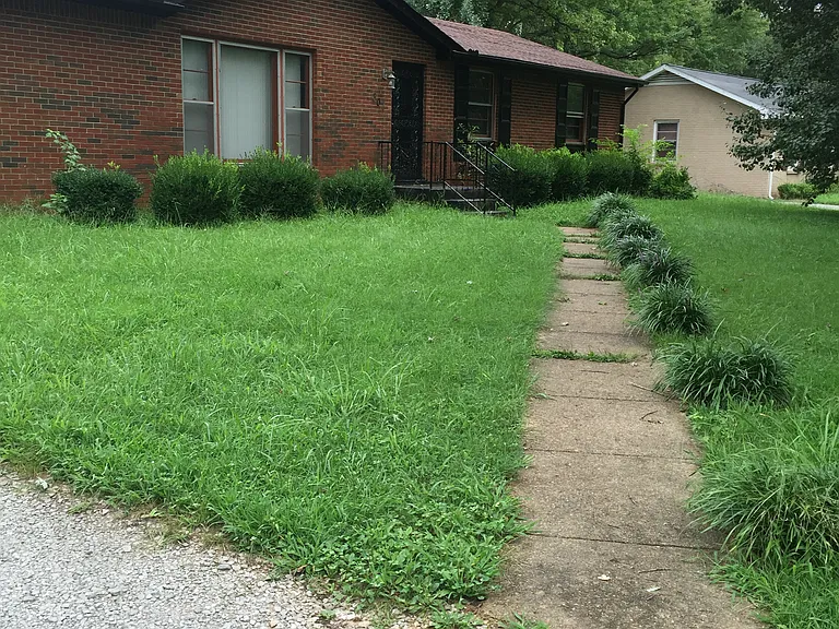 307 Notgrass Rd — Photo 13