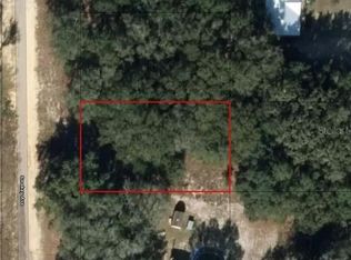 118 Smokey Ave #9, Interlachen, FL 32148