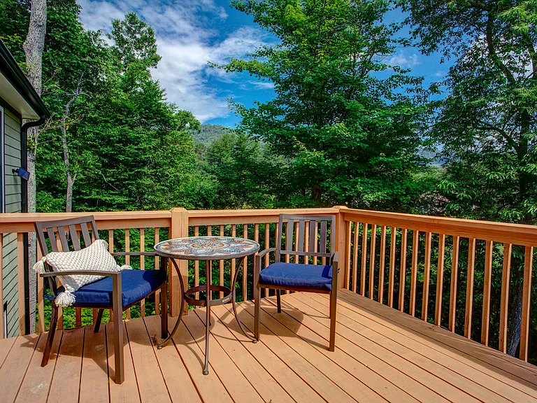 342 Old Haw Creek Rd — Photo 75