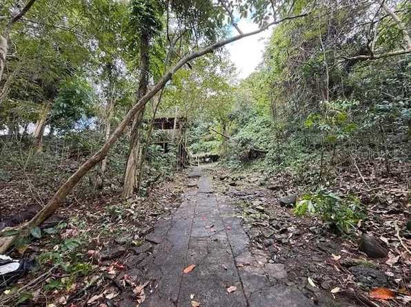 Bo Jimenez Carr #966, Rio Grande, PR 00745