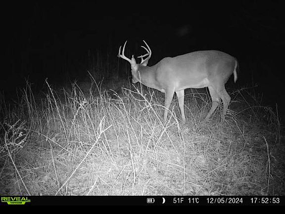 2nd image of 7 Forest Service Rd #562