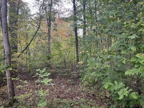 Riverdale Rd, Whitmore Lake, MI 48189