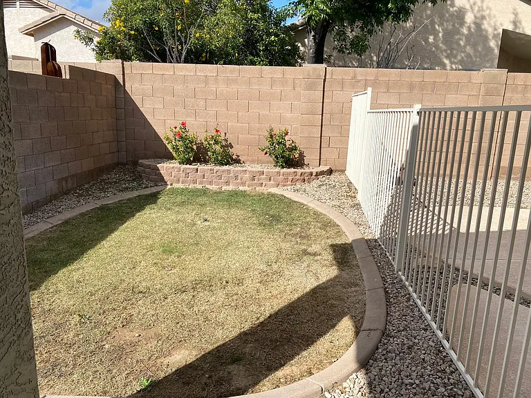 grass area in back yard