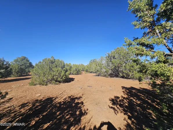 21 County Road 8032, Concho, AZ 85924