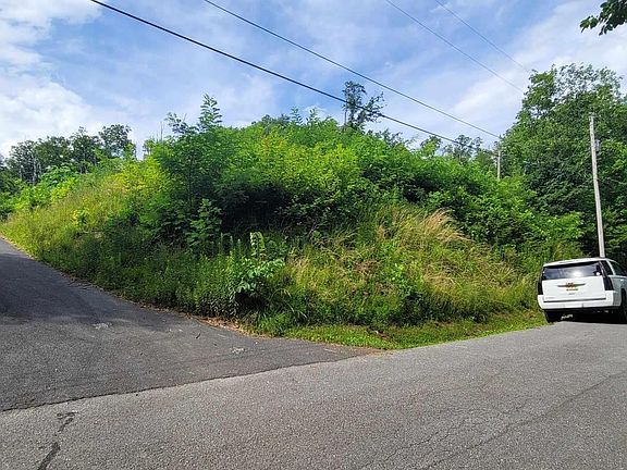5th image of Pine Top Ln