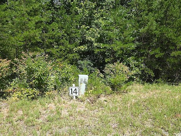 3rd image of 213 Golden Eagle Cir