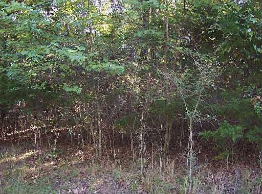 2nd image of Black Oak Dr