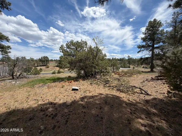 11 W OLIVER -- #1, Show Low, AZ 85901