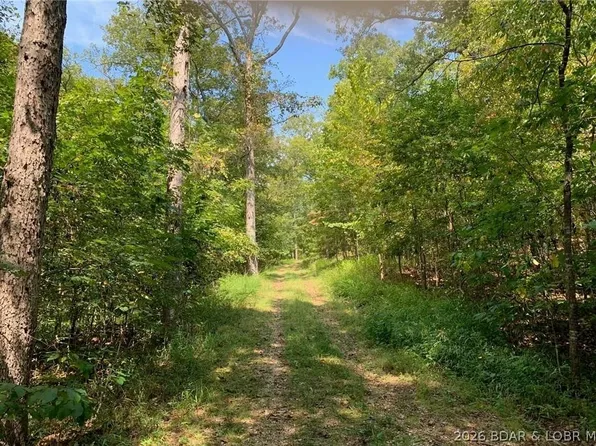 Forest Hill Ln, Gravois Mills, MO 65037