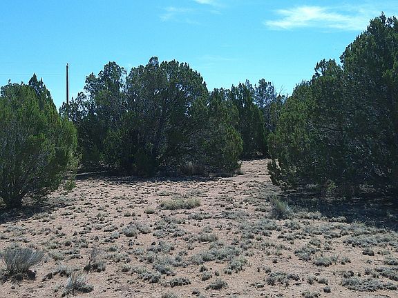 3rd image of Concho Hwy Lot 3