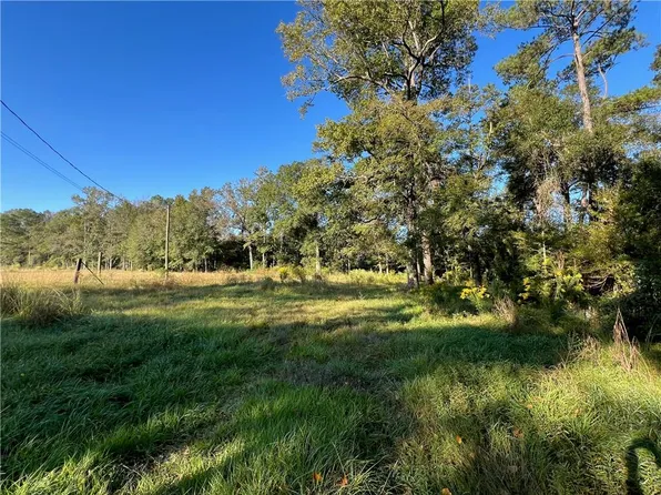 19046 Willie Ln, Livingston, LA 70754