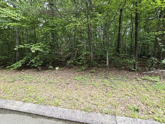 2nd image of 136 Lower Brow Rd Lot 136