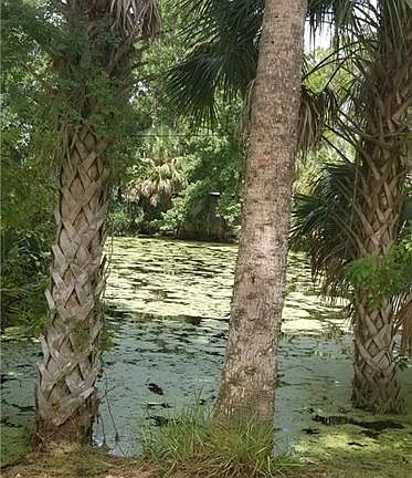 3rd image of 9676 W Plantation Ln