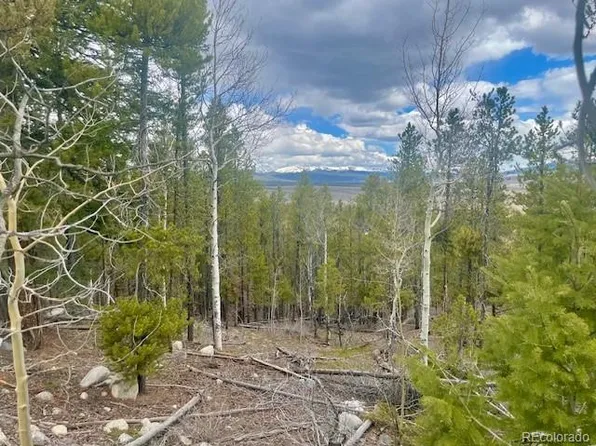 105 Parry Peak Drive, Twin Lakes, CO 81251