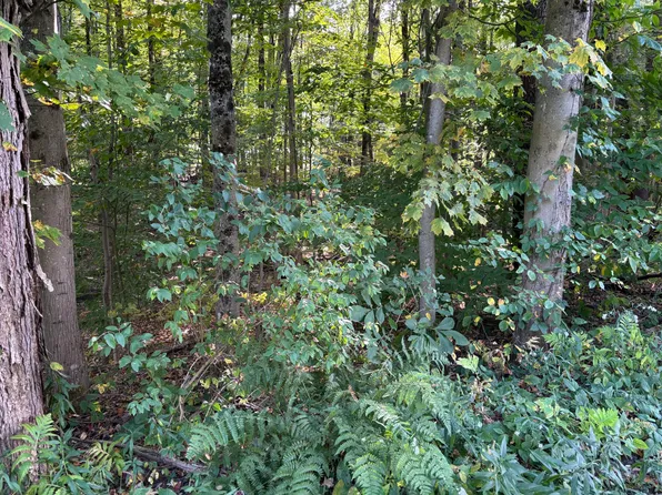 7639 Oakview Ter Lot 17, Rome, NY 13440