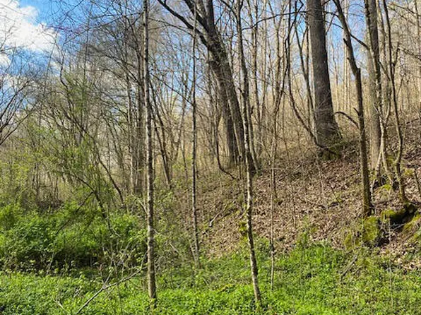 1523 Walker Ford Rd, Maynardville, TN 37807
