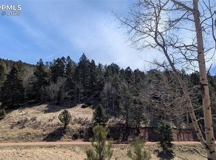 136 Valley Rd, Divide, CO 80814