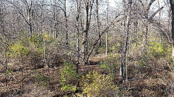 2nd image of 14951 Brick School Rd