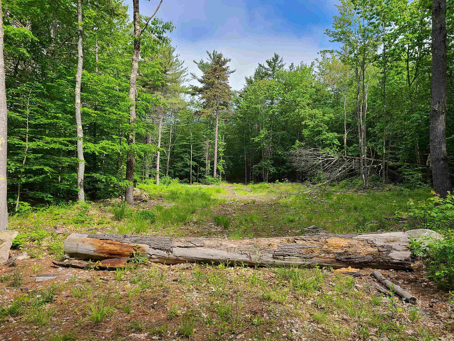 00 Trask Mountain Road Tract 4 Whitehouse Moulton Lots Wolfeboro