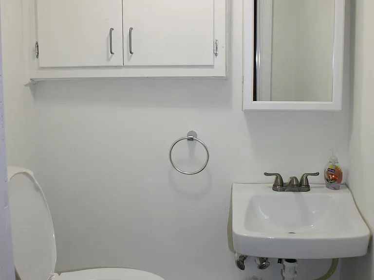Powder room downstairs